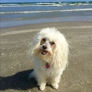 Meet your Posher, Teresa